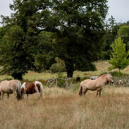 Les Fragonnettes Hébergement de vacances *