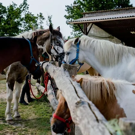 Les Fragonnettes Saint-Julien-des-Landes